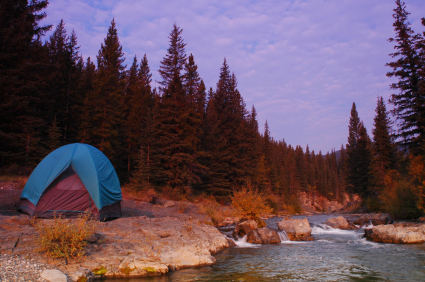 cabelas review cabelas review